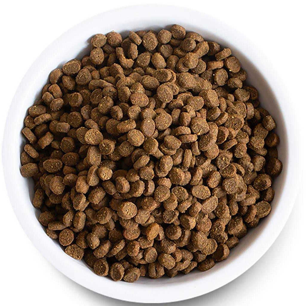 Wild-Caught Salmon Grain-Free Dry Cat Food I741867