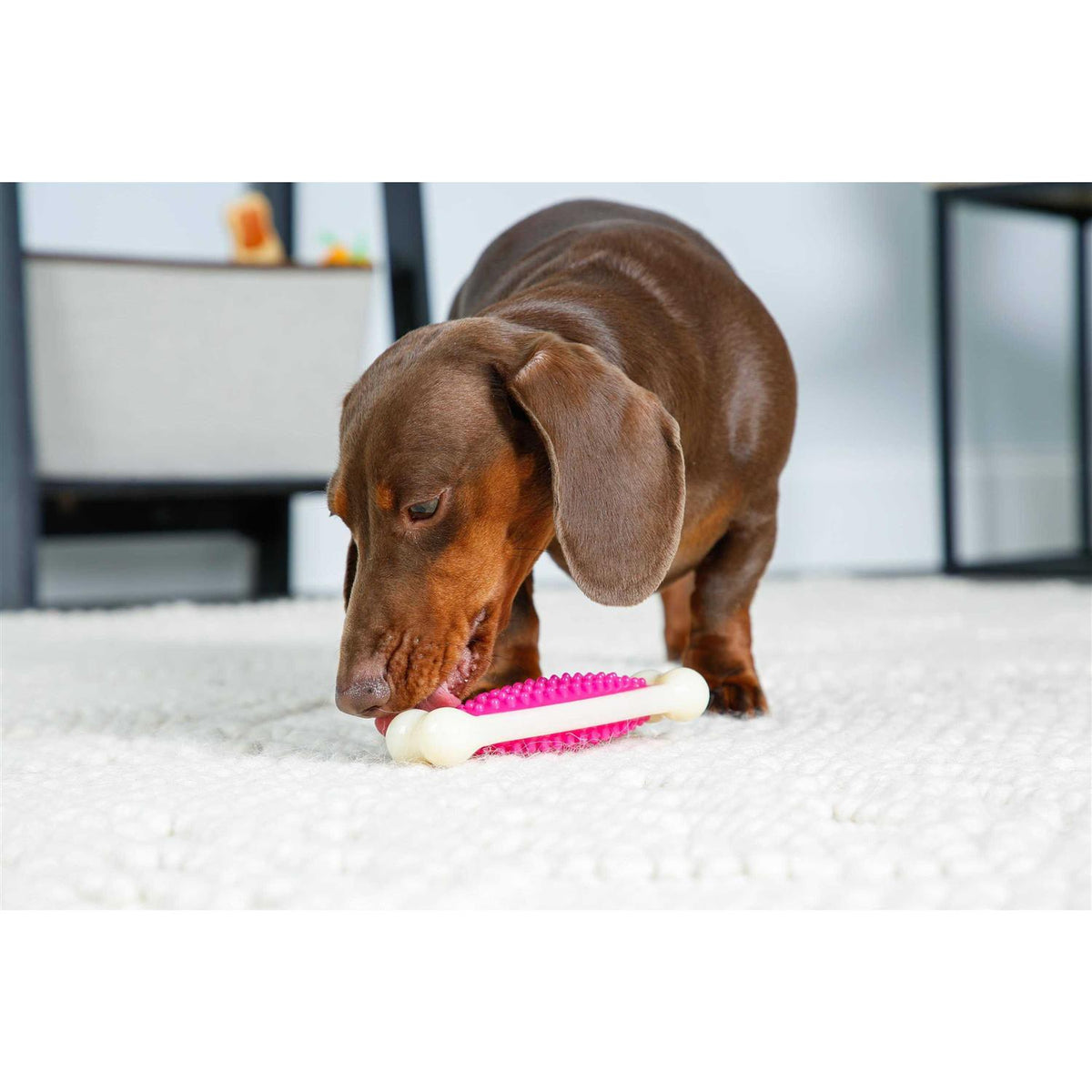 Chew Toy O579
