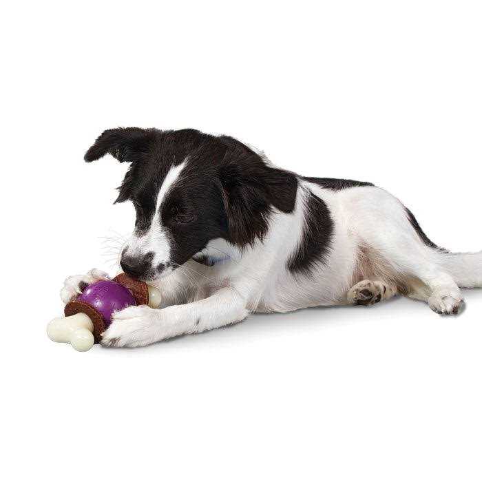 Bouncy Bone Z4611