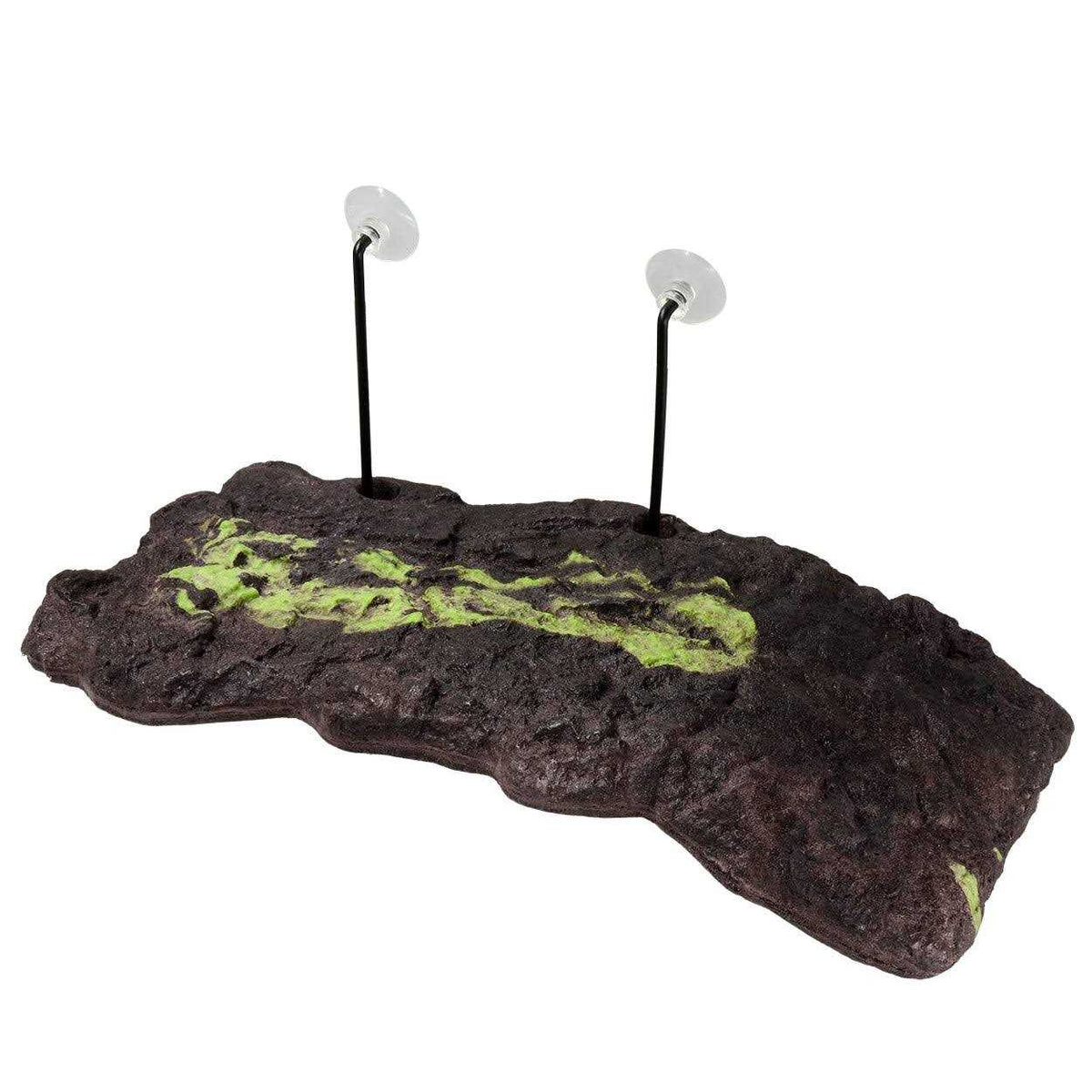 Floating Turtle Dock E10022