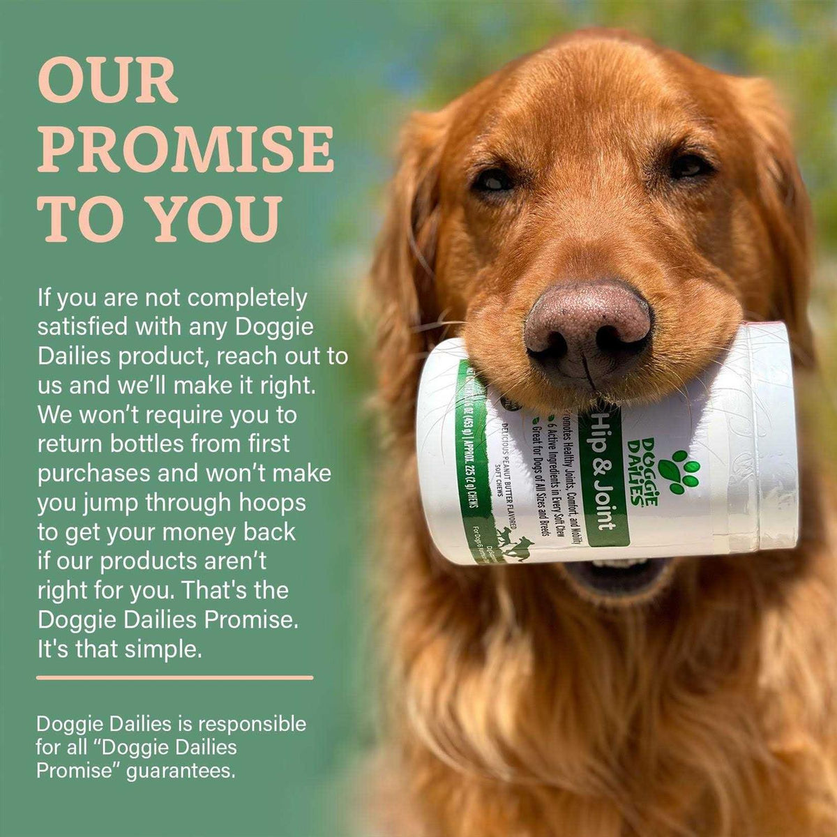 Glucosamine for Dogs S862