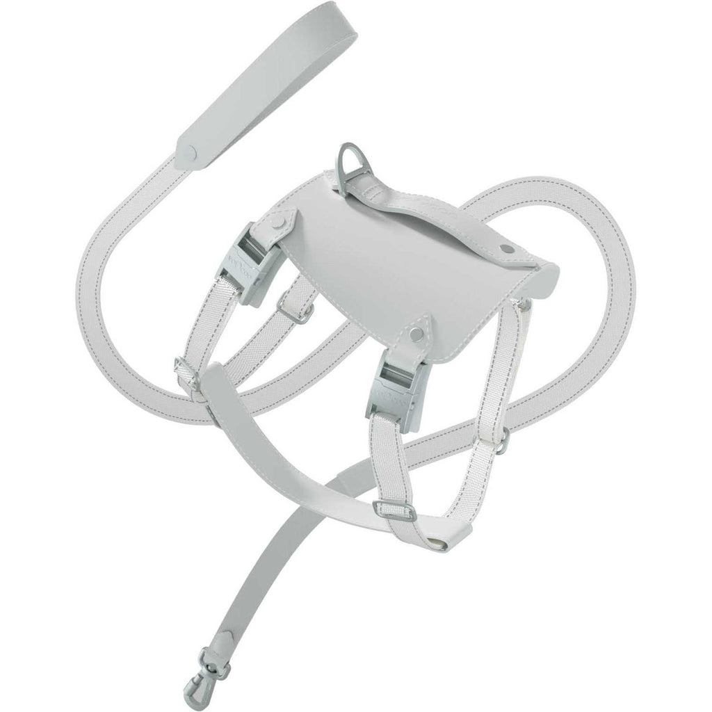 Saddle Pet Harness & Leash Z683
