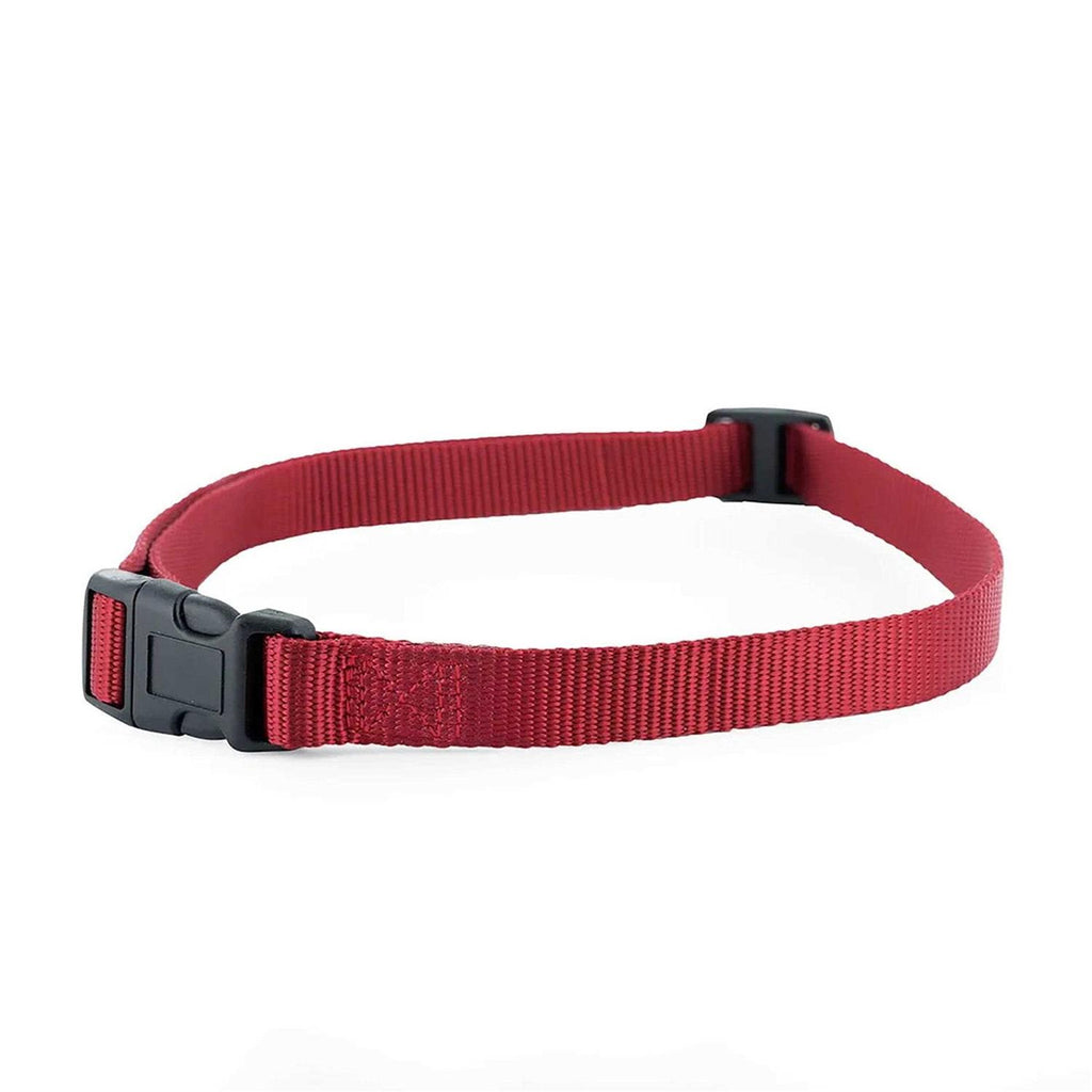 Replacement Collar Strap T149