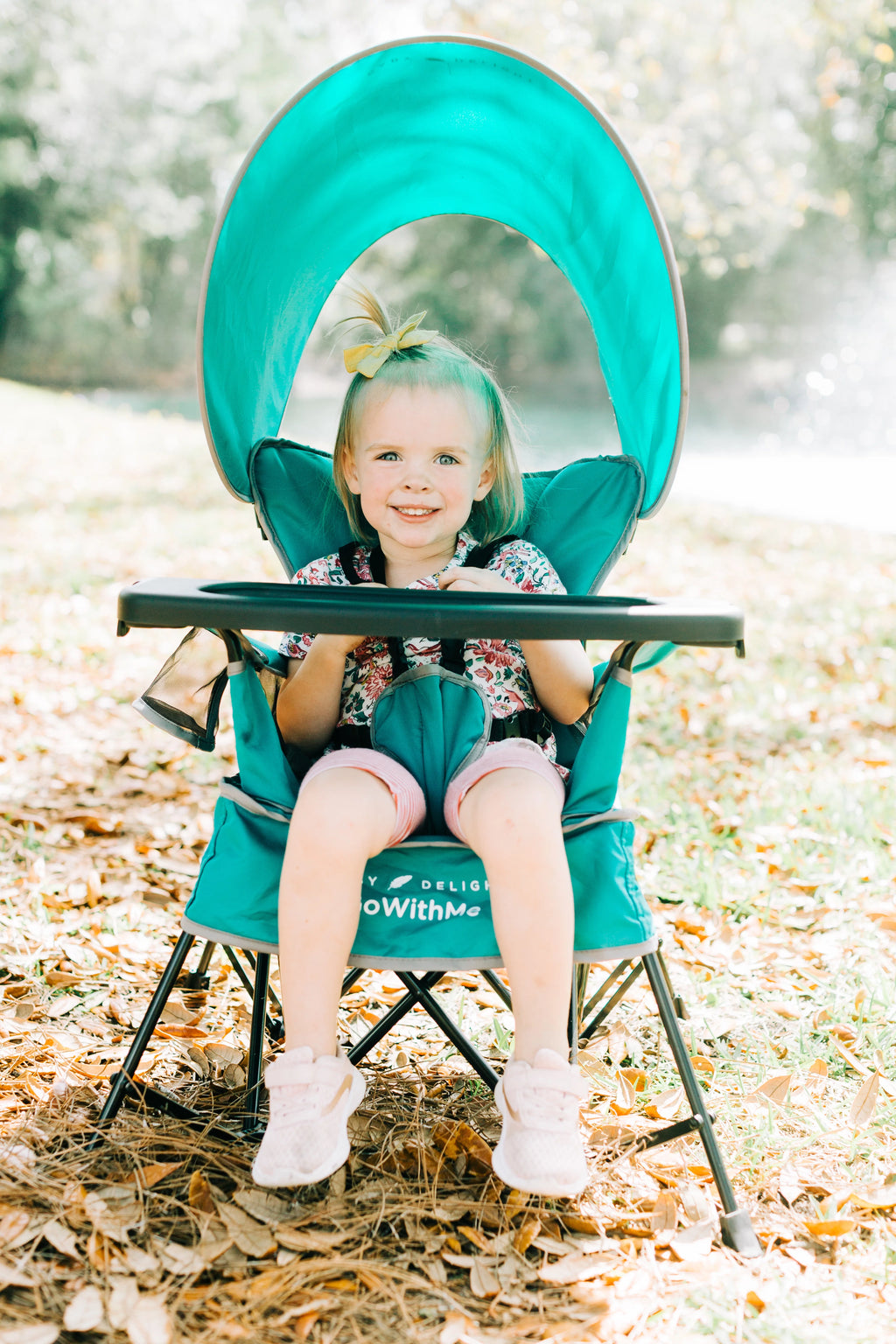 Portable Infant Chair with Removable Canopy, Teal H94938
