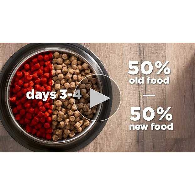 Chicken Cat Food R219