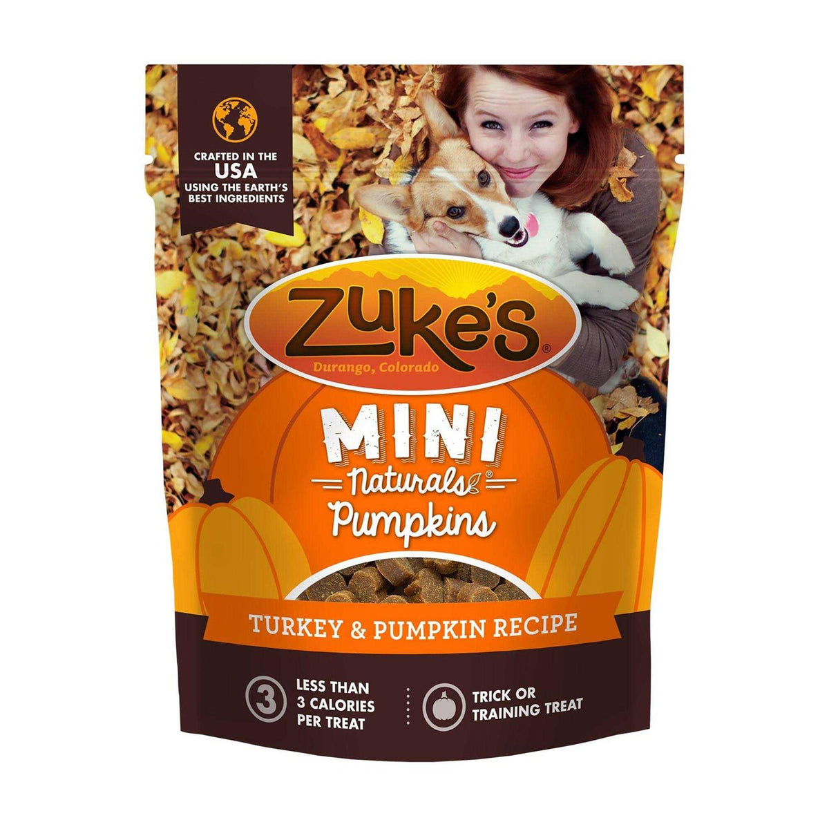 Turkey & Pumpkin Recipe Dog Treats V944