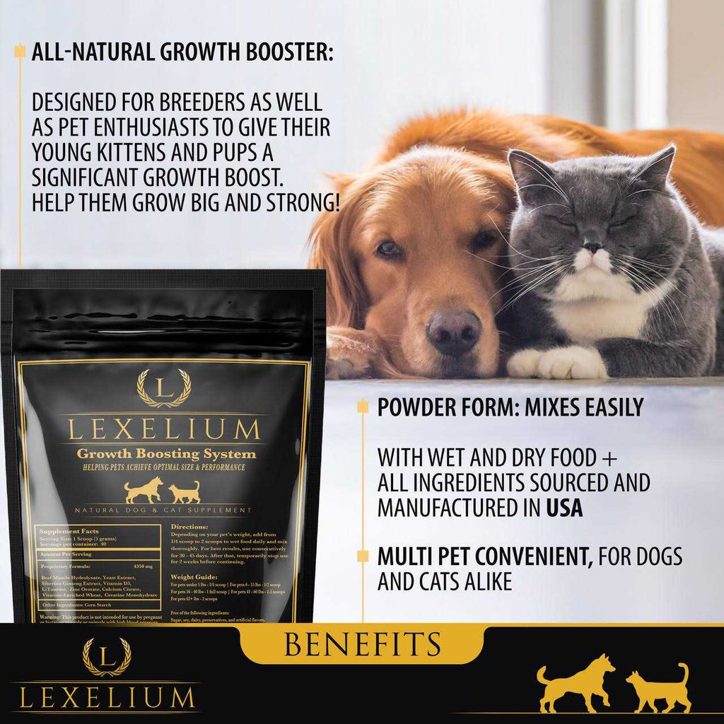 Weight Gainer Supplement for Dogs & Cats O142200