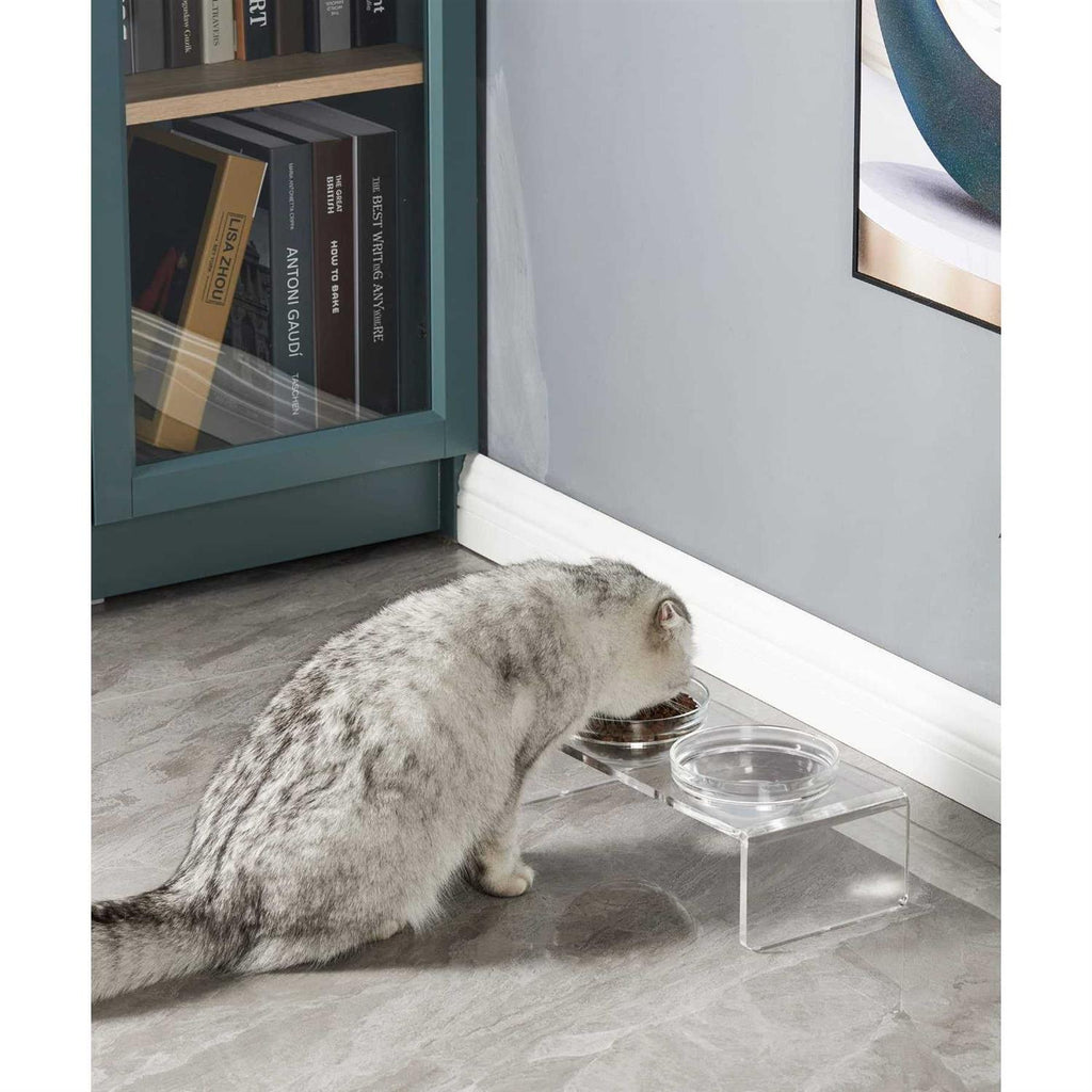 Acrylic Elevated Dog Cat Bowls with 2 Glass and 2 Stainless Steel Bowls J17917