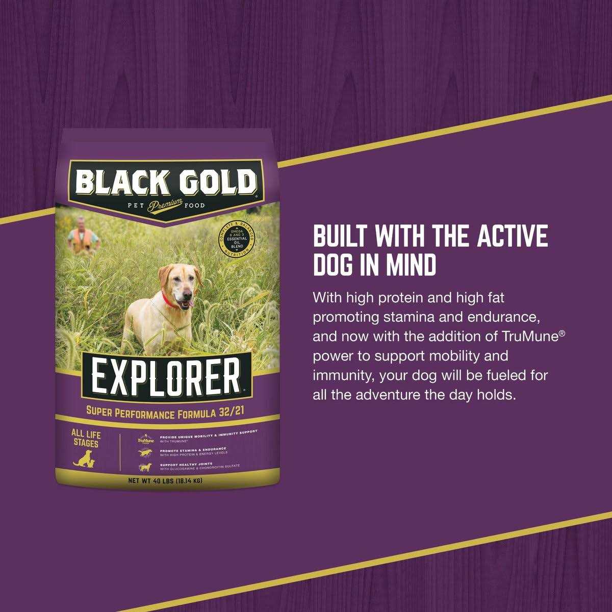 Dry Dog Food D70402