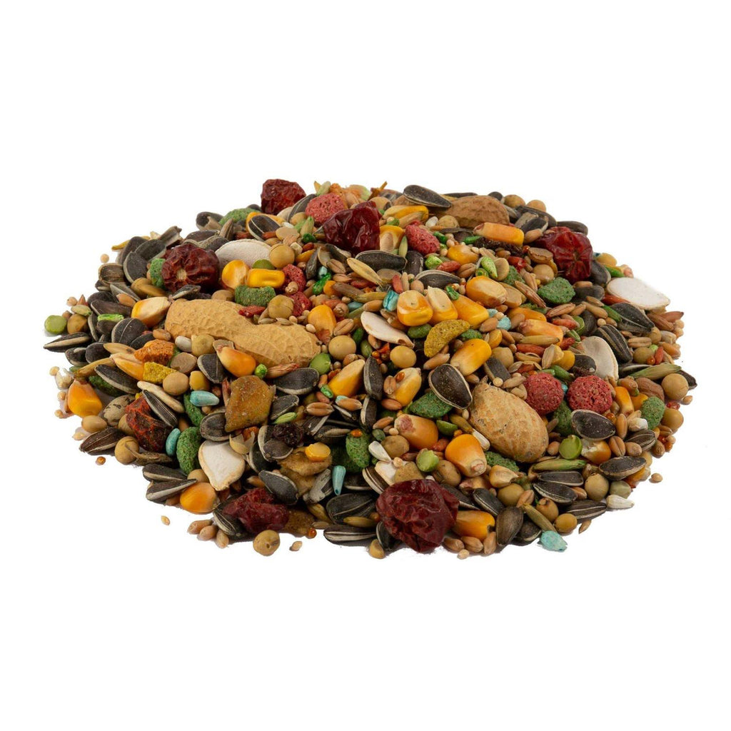 Parrot Bird Food I893059