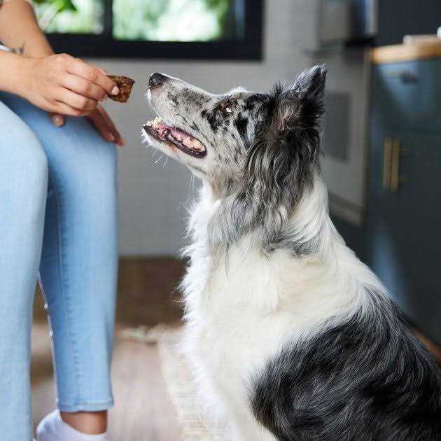 Dehydrated Beef Lung Dog Treats R622
