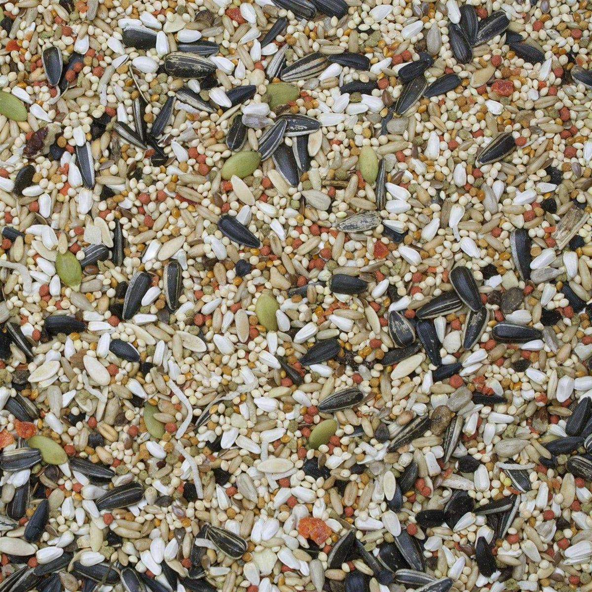 Sunburst Gourmet Blend Cockatiel Food Z930023