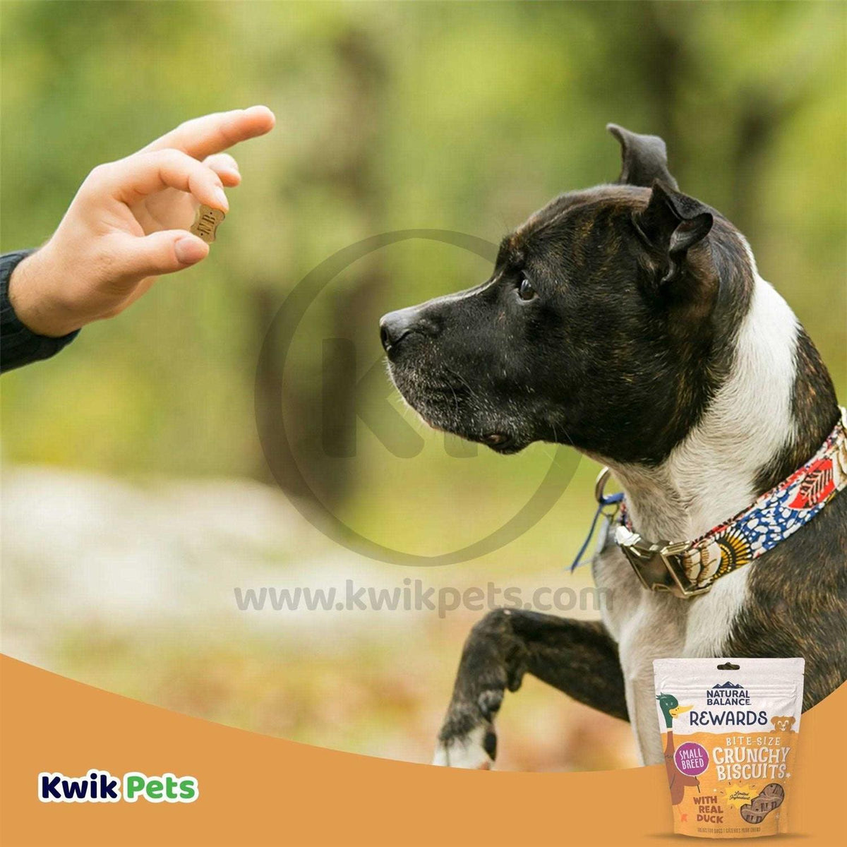 Potato & Duck Limited Ingredient Treats K27707