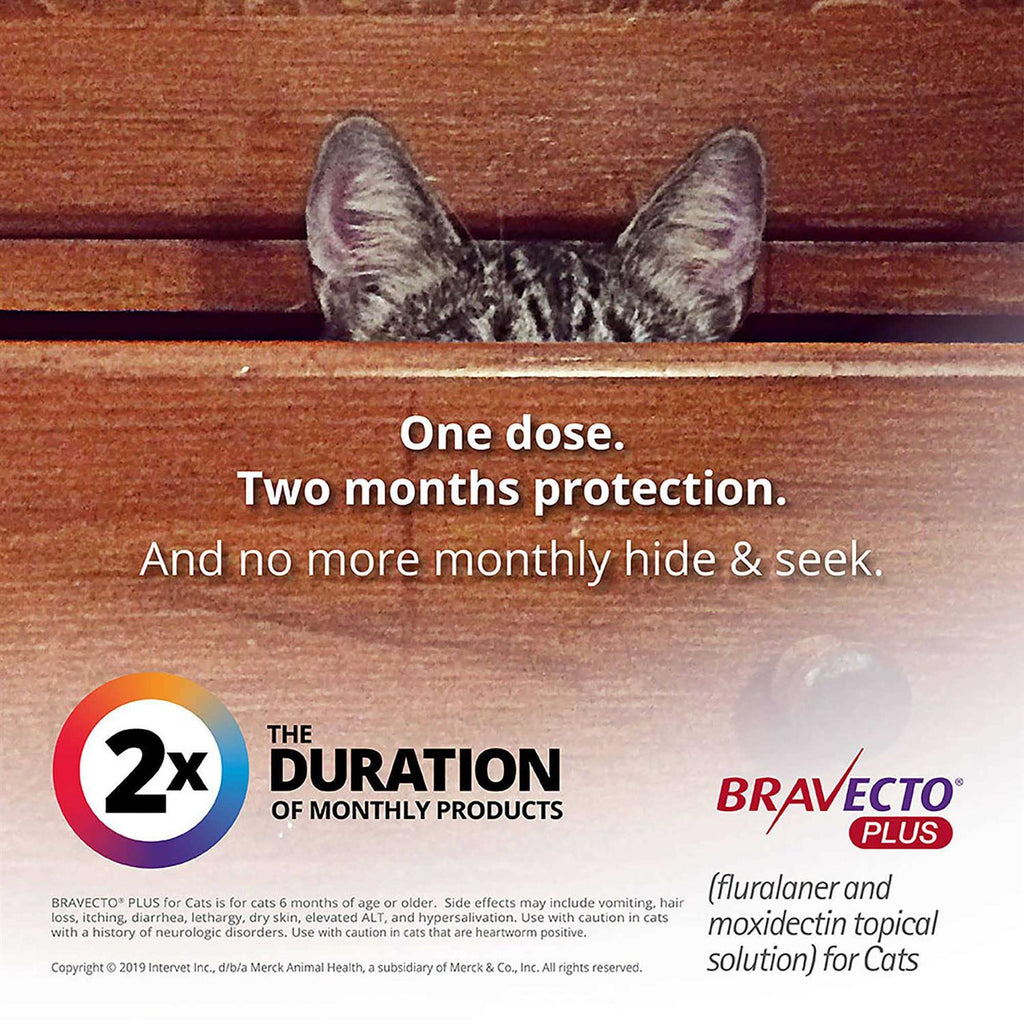 Topical Solution for Cats G6130