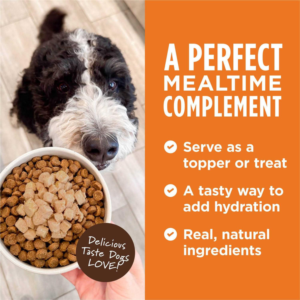 Grain Free Wet Dog Food Topper V3726