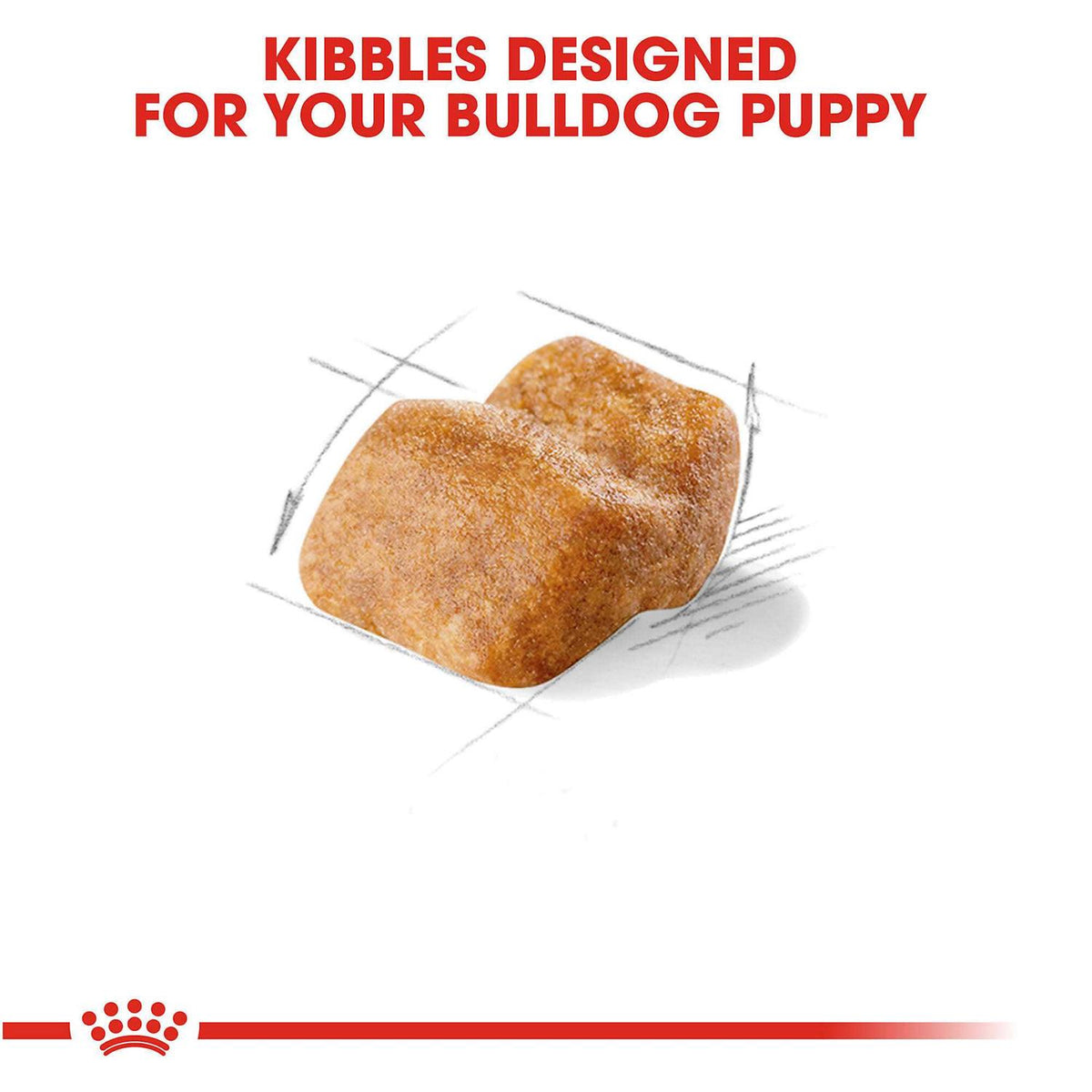 Bulldog Puppy Dry Dog Food Q833