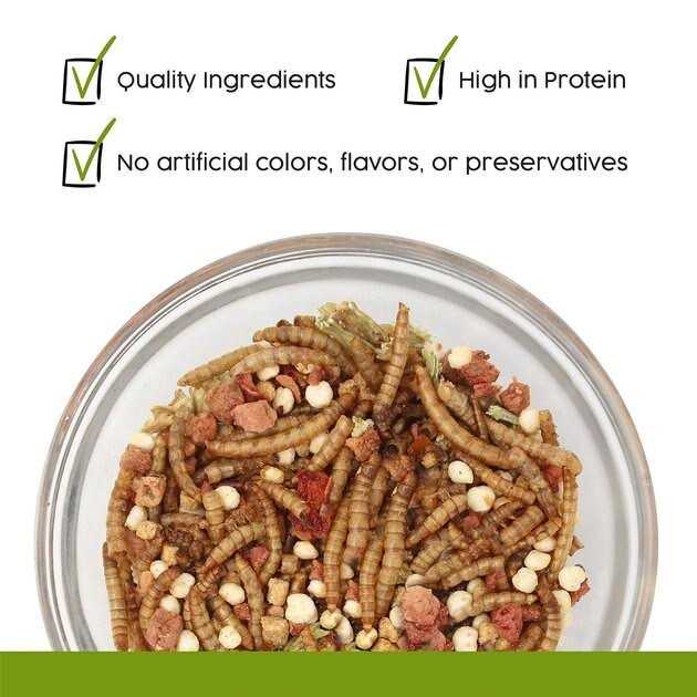 Hedgehog Treat R7259
