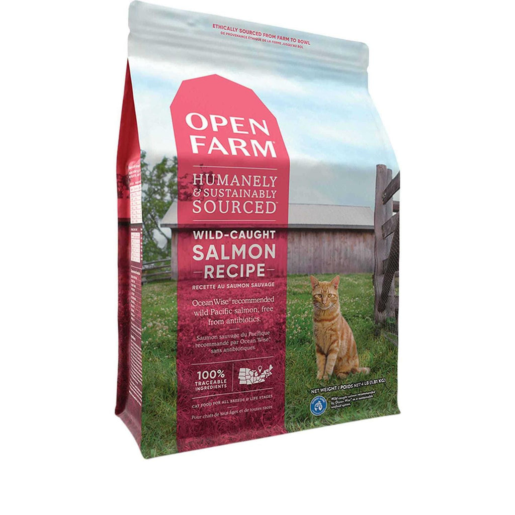 Wild-Caught Salmon Grain-Free Dry Cat Food I741867