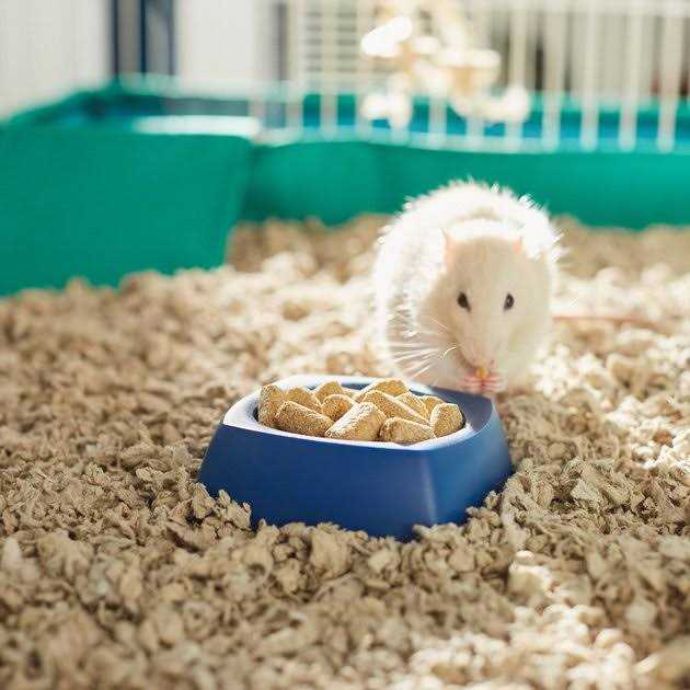 Rat & Mouse Diet V252