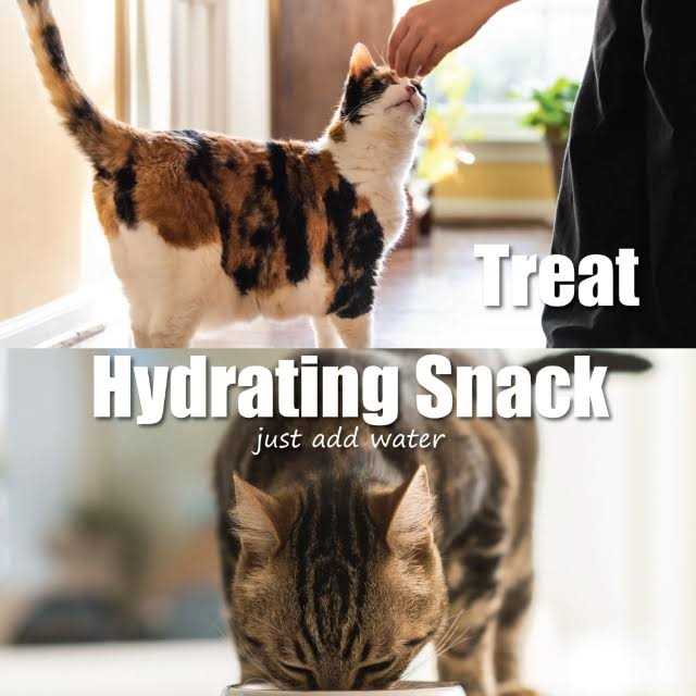 Freeze-Dried Chicken Cat Treats X9233