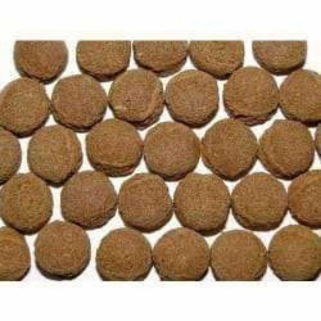 Carnivore Formula F42420