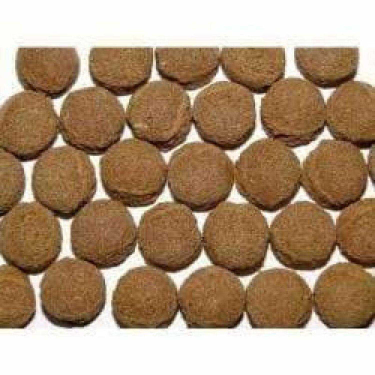 Carnivore Formula F42420