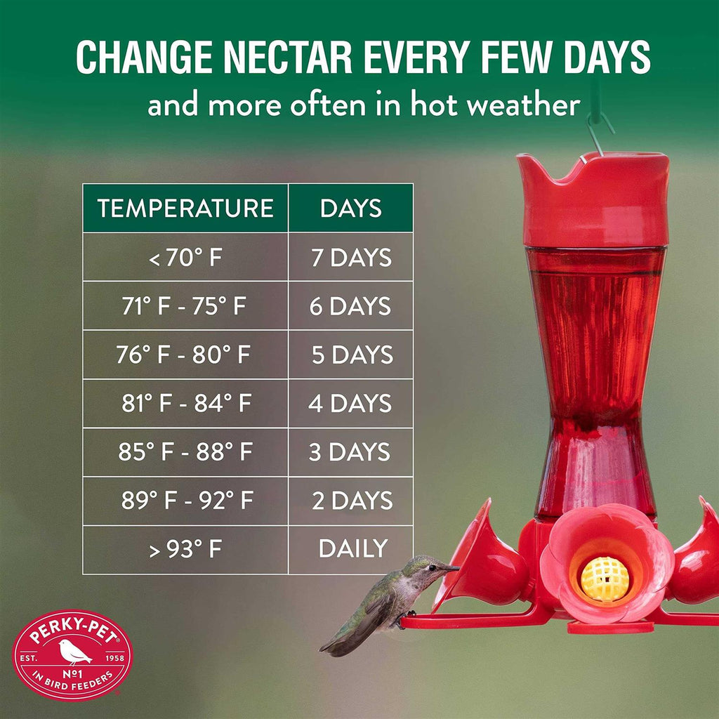 Hummingbird Nectar Concentrate L987118