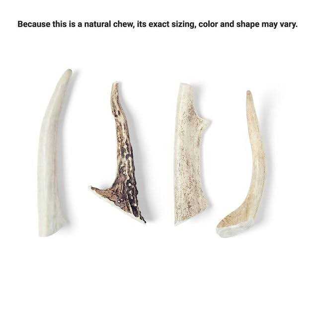 Deer Antler Dog Chew R191