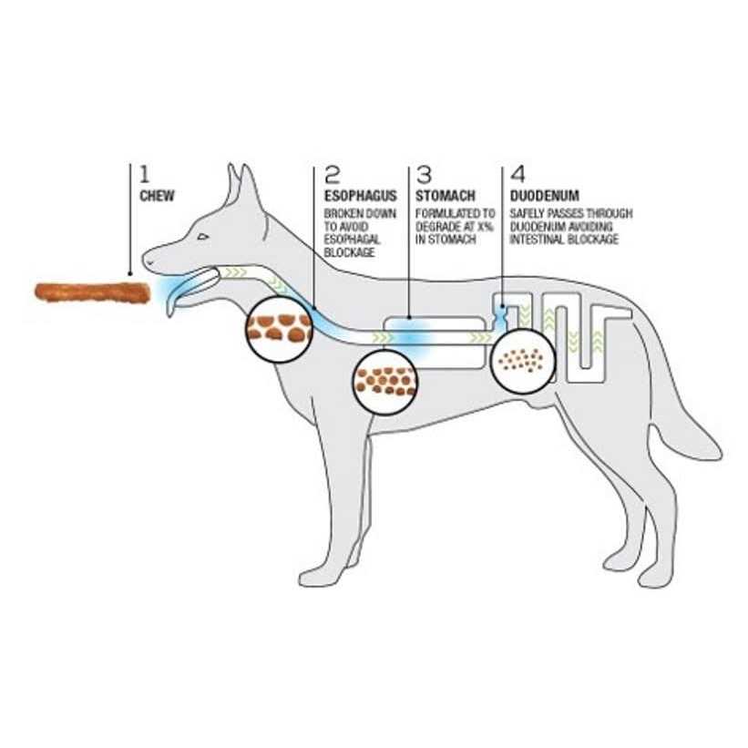 Dog Chews + Collagen Recipe Y394