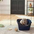 Small Pet Litter Box F490083