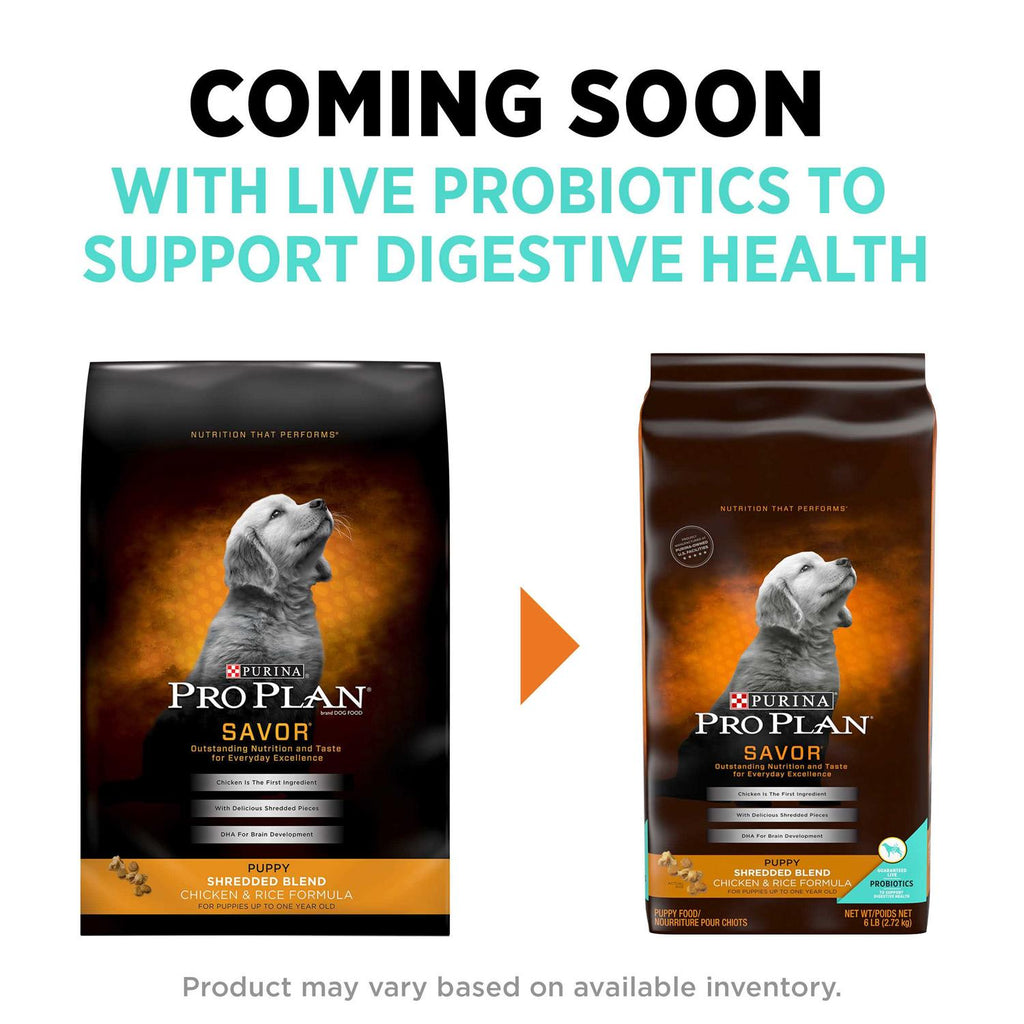 Shredded Chicken & Rice Puppy Dry Dog Food R33608