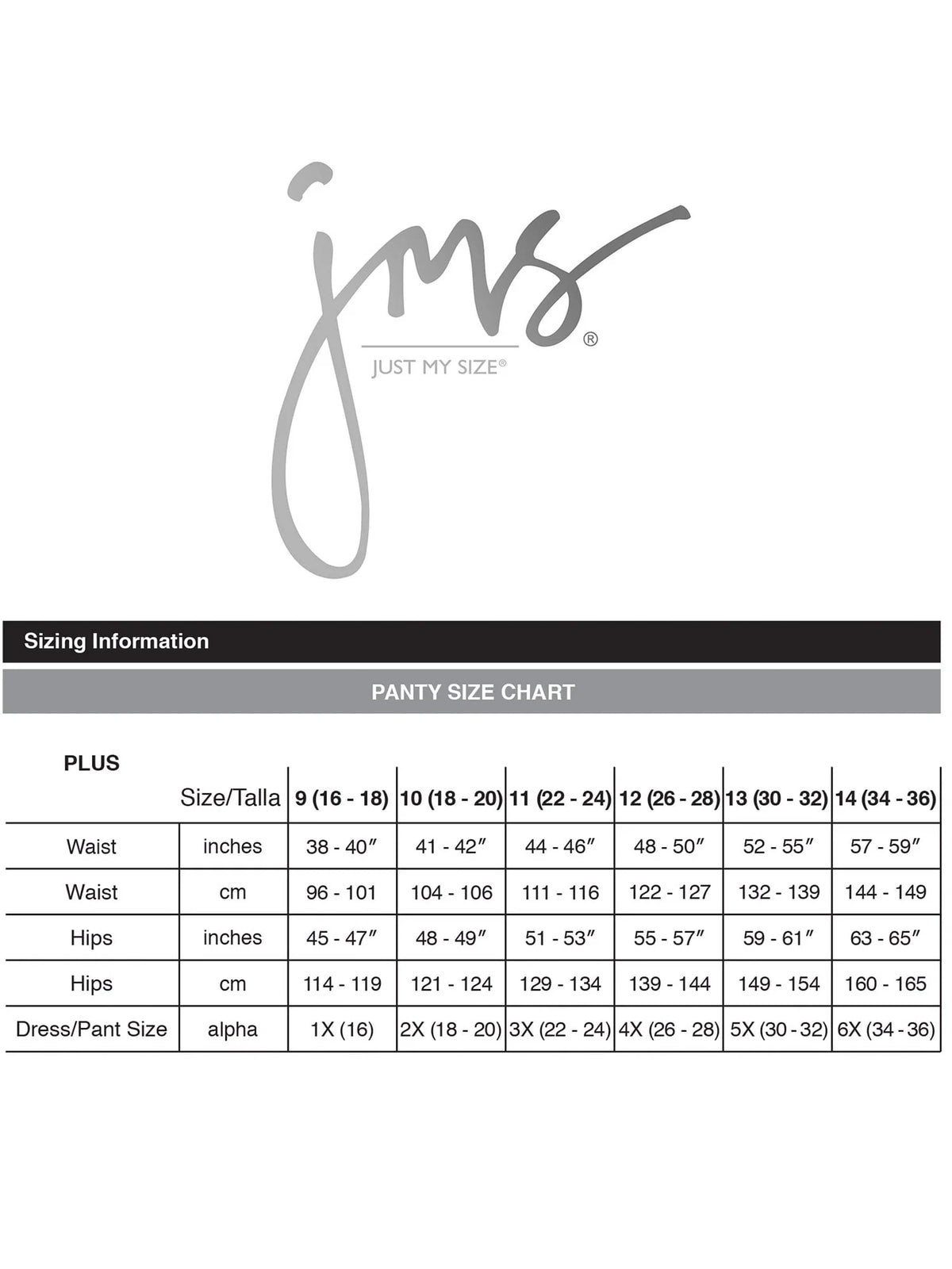 Plus Size Light Period Underwear 3-Pack Brief Y319