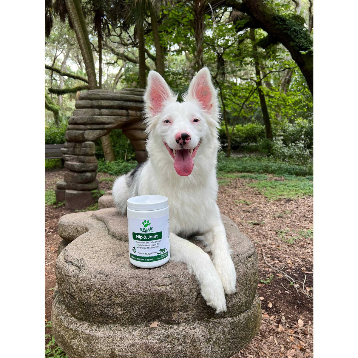 Glucosamine for Dogs S862