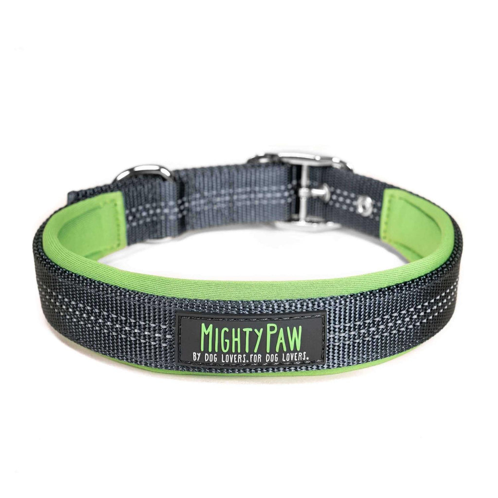 Dog Collar Y51189