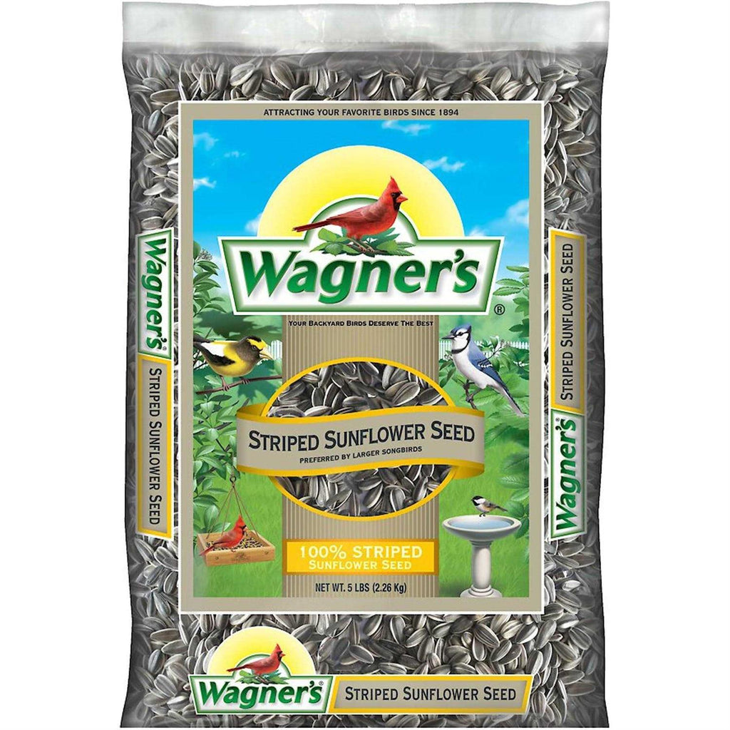 5 Lb Striped Sunflower Seed U171