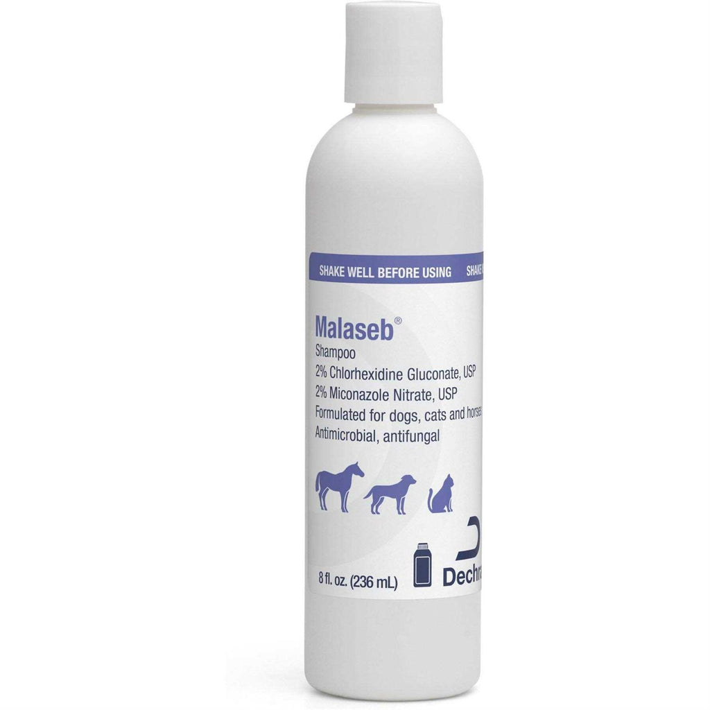 Shampoo 8 oz G66665