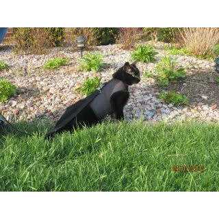 Cat Harness B44395