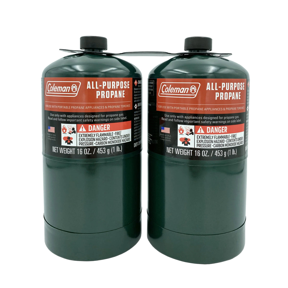 16 ounce 2-Pack Propane Gas Cylinder M8941