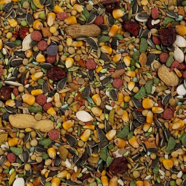 Parrot Bird Food I893059