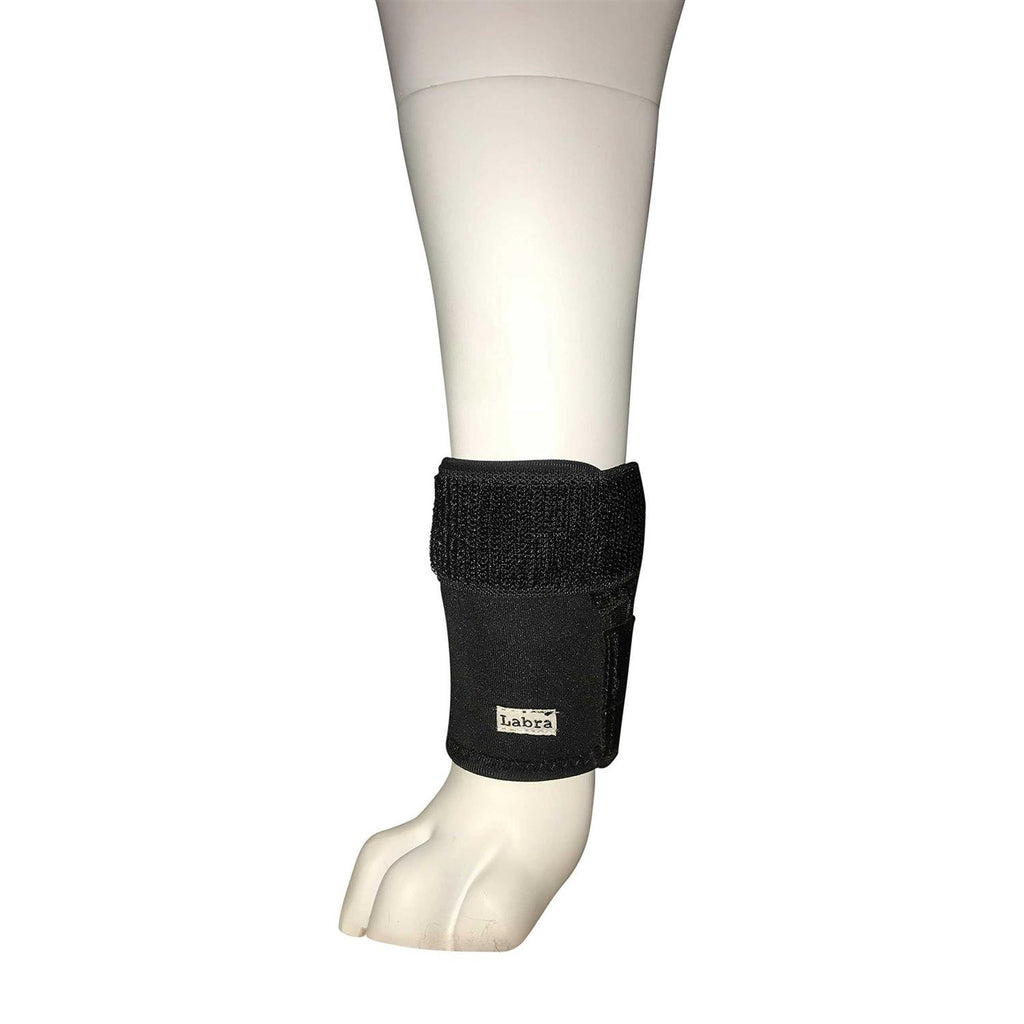 Dog Front Leg Compression Brace Sleeve G8553