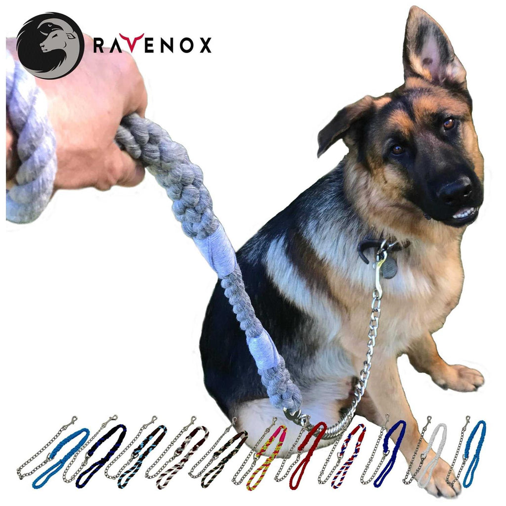 Dog Leash with Chain L97615