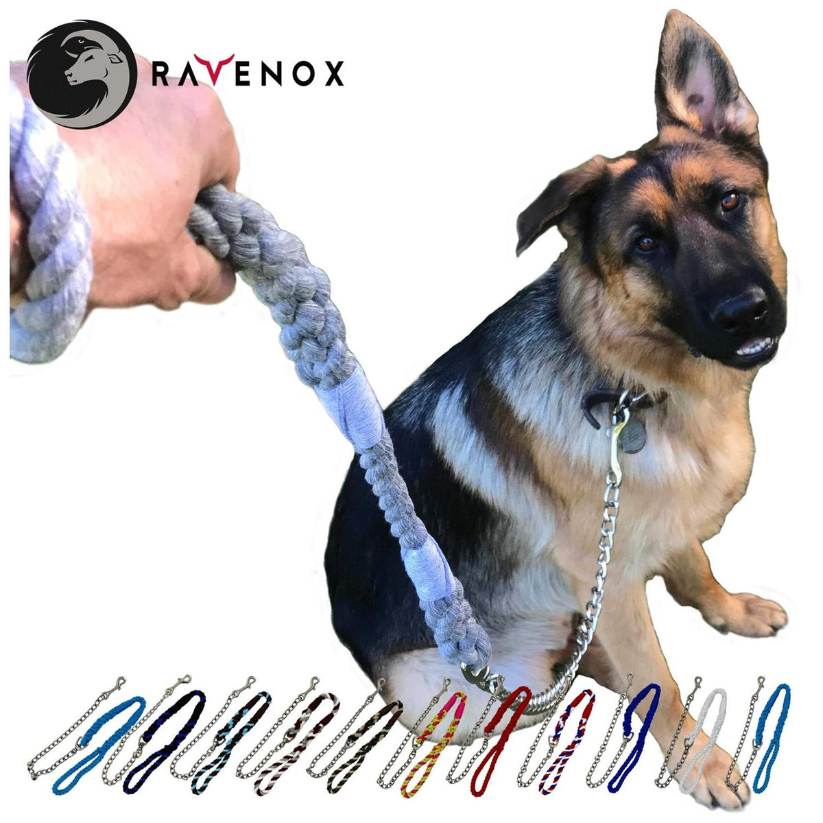 Dog Leash with Chain L97615