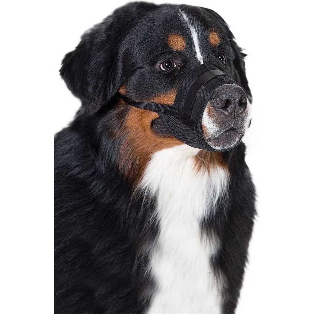 Dog Muzzle E904593