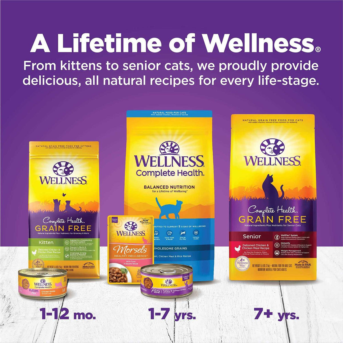 Kitten Canned Wet Cat Food W85617
