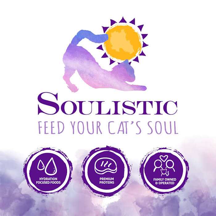 Wet Cat Food Variety Pack H1487
