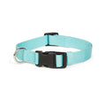 Adjustable Dog Collar N805392