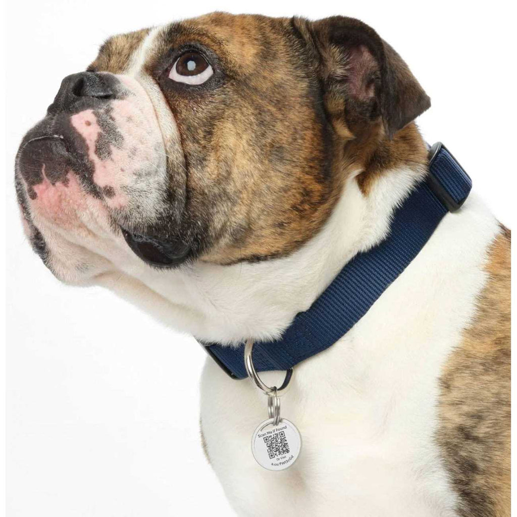 QR Code Pet Tag B290