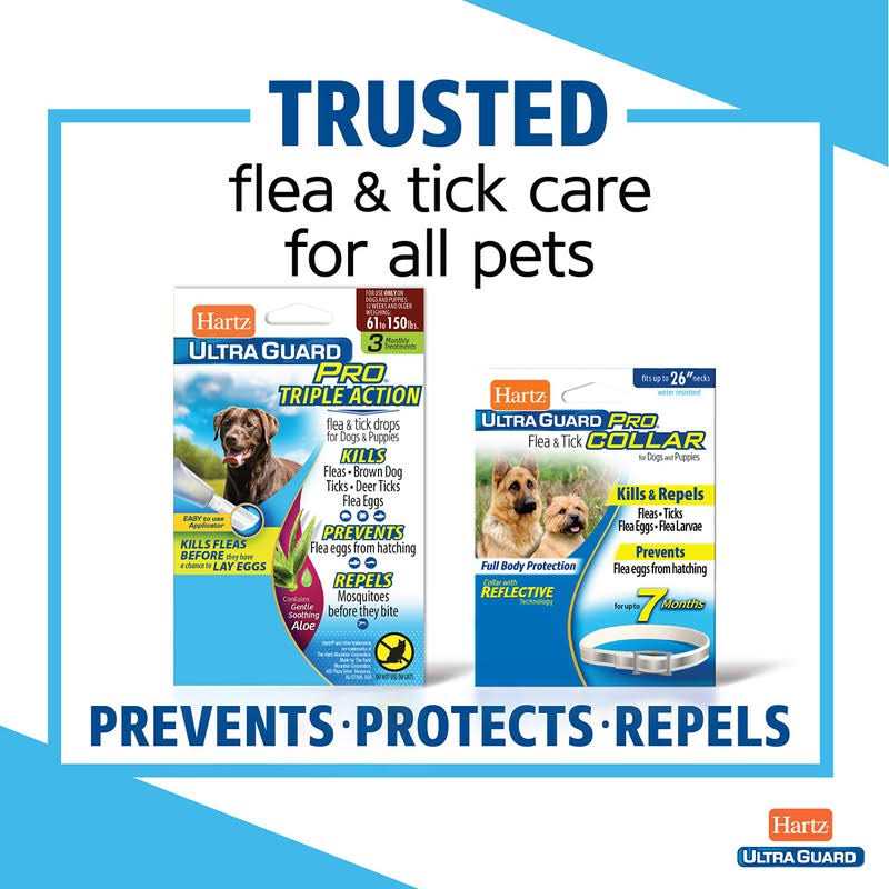 Flea & Tick Prevention For Cats M20464