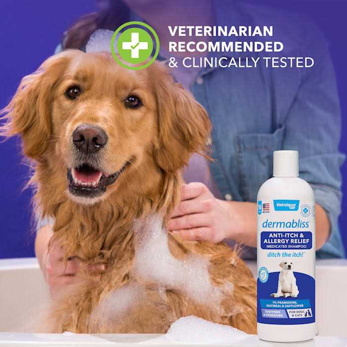 Anti-Itch & Allergy Relief Medicated Shampoo 16oz F8124