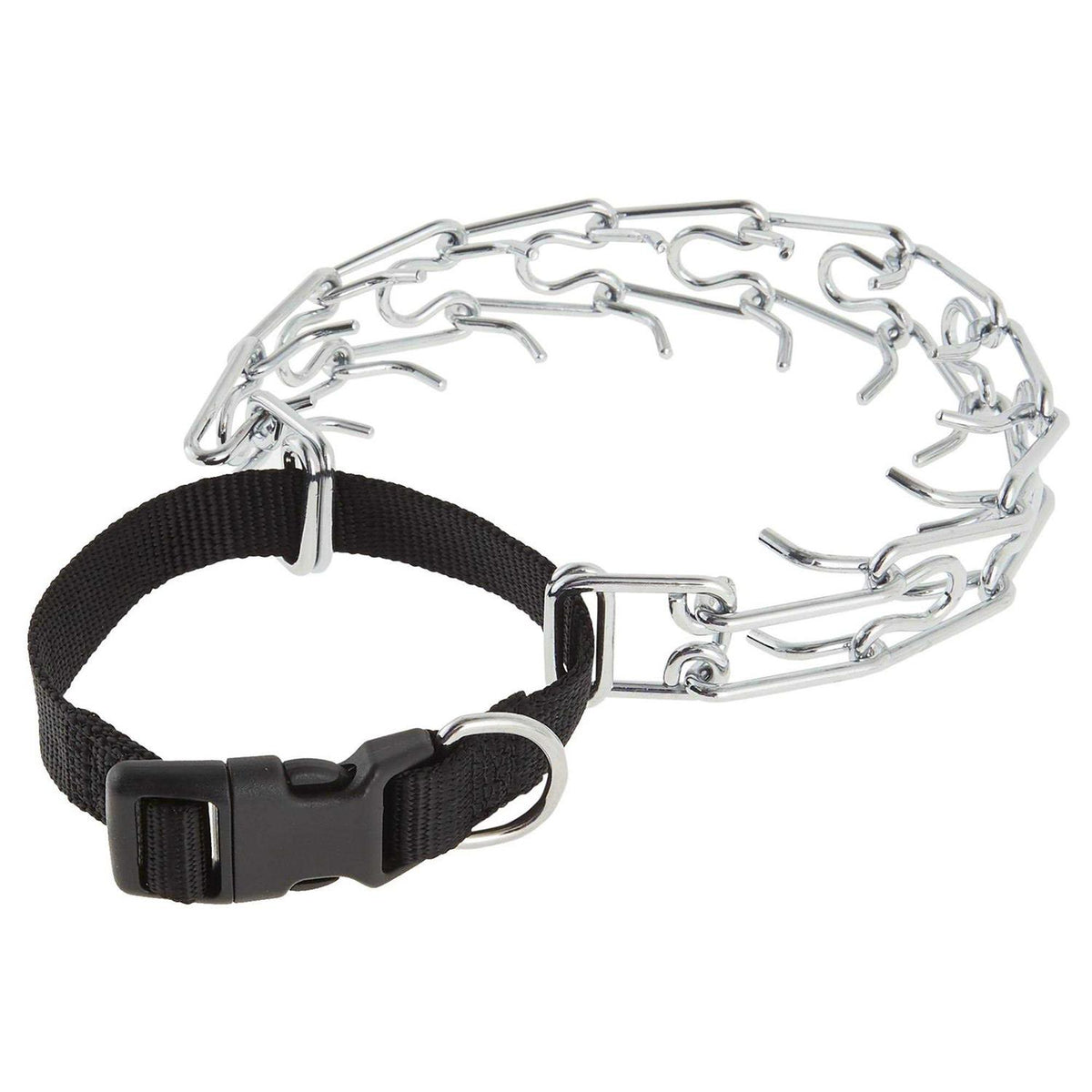 Buckle Prong Training Dog Collar S306936